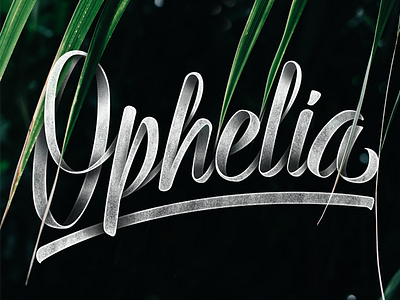 Ophelia brush crayola drawn hand handlettering lettering logo logotype type typography