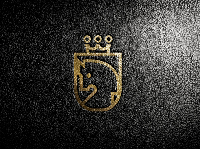 Visual Identity - Haras Terra Santa branding design brazil colors design diegoygyno horse leather logo logotipo visual identity