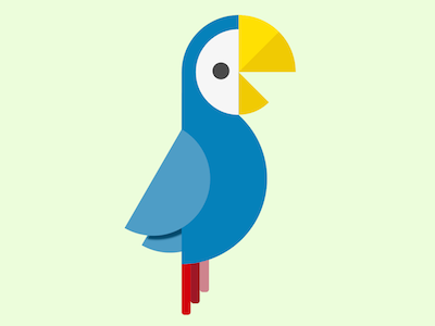 Parrot bird branding illustration logo parrot sketch