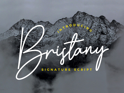 Bristany Signature Script Font branding design font fonts monoline font script font signature signature font typedesign typeface