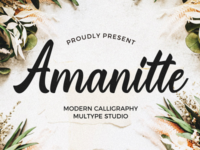 Amanitte Modern Calligraphy Font calligraphy font font fonts script font