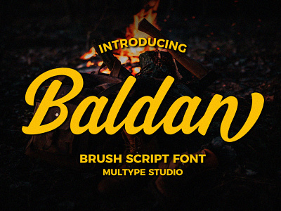 Baldan Brush Script Font brush font font fonts script font