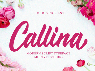 Callina Modern Script Font font fonts script font