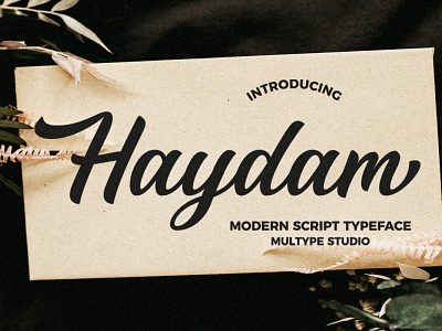 Haydam Modern Script Font font fonts modern font script font