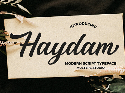 Haydam Modern Script Font