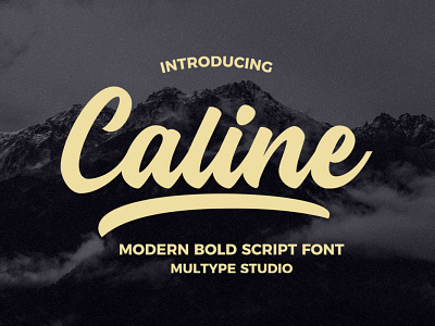 Caline - Modern Bold Script Font branding font fonts script font typedesign typeface