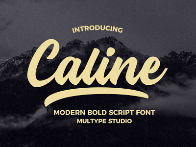 Caline - Modern Bold Script Font