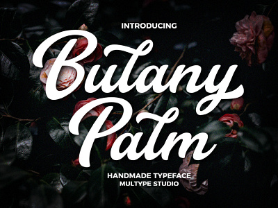 Bulany Palm - Handmade Font branding design font fonts script font typedesign typeface