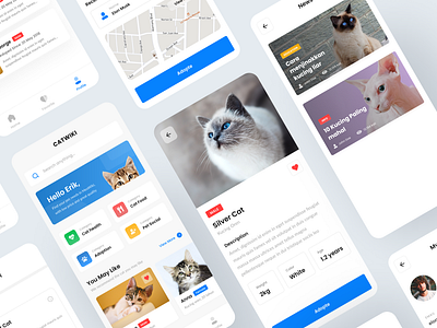 Pet Adoption Application Design cat design figma pet pet adoption pet care petcare petshop ui ux uidesign