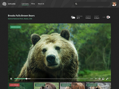 Explore redesign animals conservation environmentalism explore green nature ui