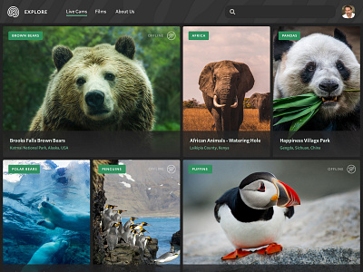 Explore main feed animals environment gallery ui