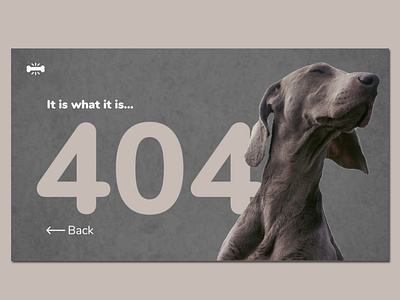 A Creative 404 page Web Design