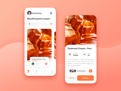 Mobile APP UI - Canyon