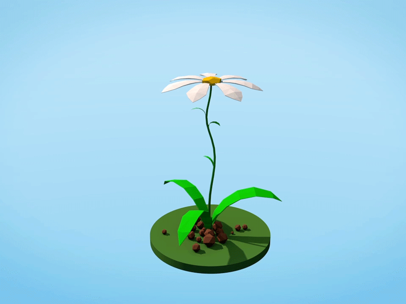 Poly Flower animation flower lowpoly
