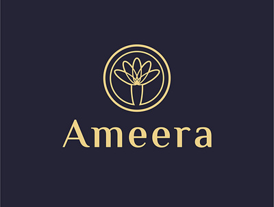 logo ameera branding coreldraw design flatdesign illustration logo typography ui uiux website