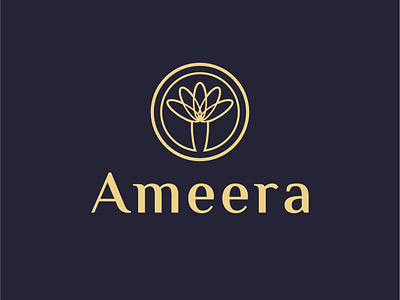 logo ameera