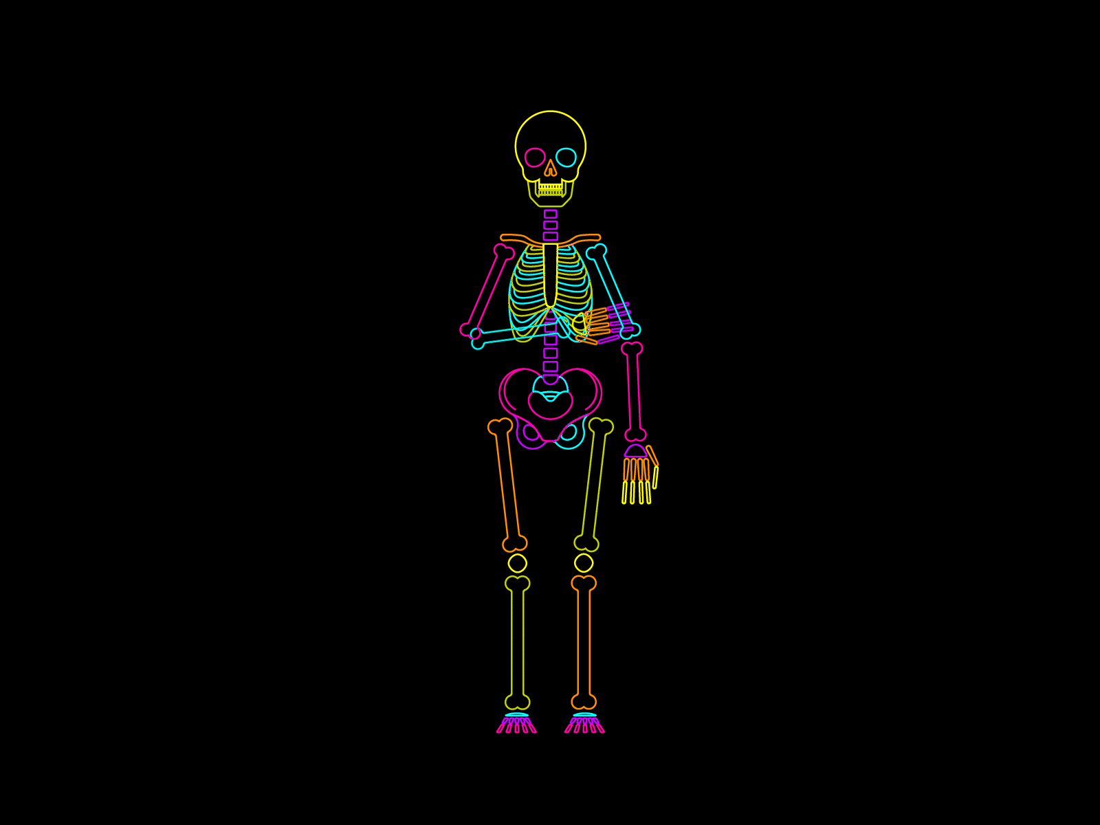 Neon friendly skeleton adobeillustator aftereffects animation motion graphics vector