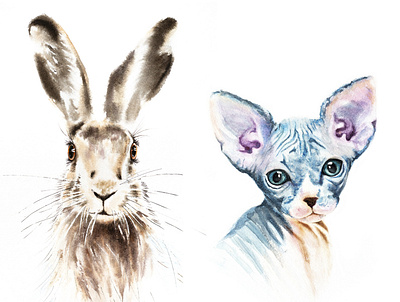 Watercolor illustrations: Rabbit and Sphinx illustration illustration for t shirt watercolor art watercolor illustration watercolor painting watercolor rabbit watercolor sphinx