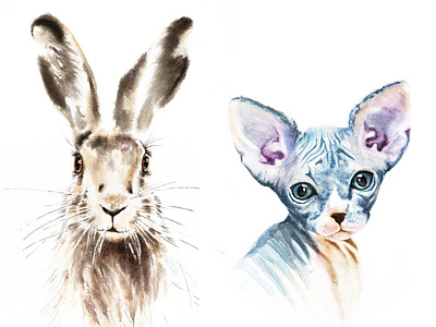 Watercolor illustrations: Rabbit and Sphinx
