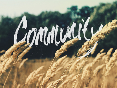 Community banner community hand drawn type wheat