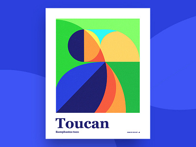 Quick Toucan poster bird poster serif toucan tropical