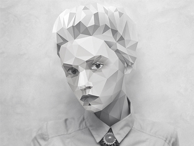 Juliia Oh illustration polygonal