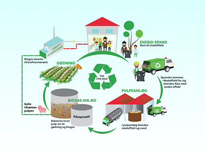 Recycling Infographic | Kerteminde Forsyning colorful design environmentally friendly graphic design green solutions guide illustration illustrator infographic instruction recycling illustration vector vector illustration