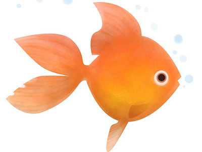 Fishy Fishy - photoshop rough fish orange photoshop