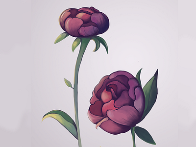 flowers design digital illustration illustration