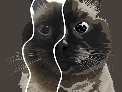 Cat art artwork avatar cat cg color flat illustration portrait vektor