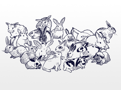 Rabbits drawing illustration rabbits