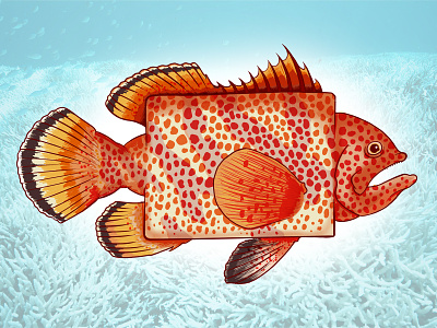 Square Grouper aquatic digital illustration fine art illustration