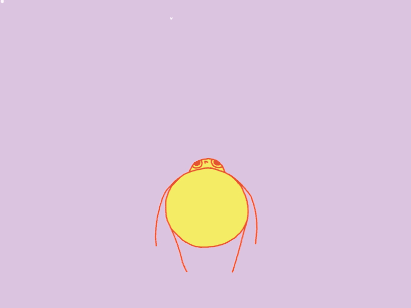 Hello dribbble