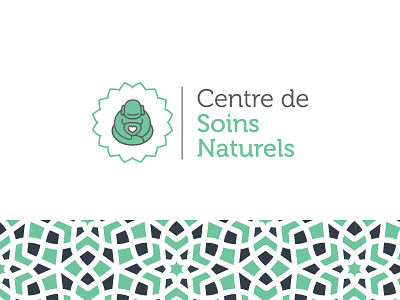 Natural Healing Center accepted logo