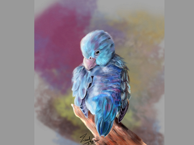 Little blue bird animal animals lover bird blue digital drawing digital painting feather illustration photoshop