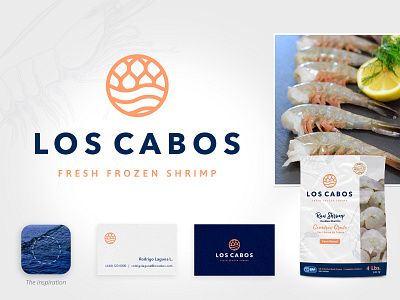 Los Cabos - Fresh Frozen Shrimp