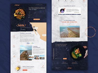 Selecta Landing Page branding desktop digital product elegant website landing page seafood shrimp shrimp company shrimp website ui uiux ux website
