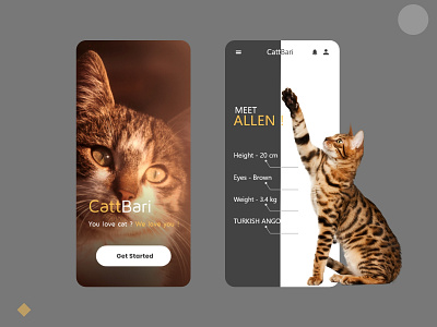 cat shop app design by Alam on Dribbble