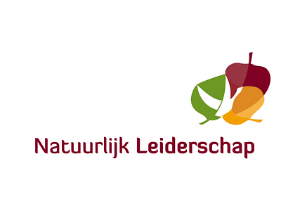 Natuurlijk leiderschap