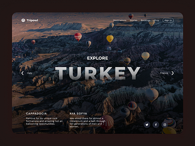 Travel Agency Landing Page - Tripowl