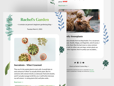 Gardening Blog Email Newsletter blog clean concept dribbble email email design email marketing email newsletter email template freebie gardening marketing minimal newsletter product responsive template templates ui