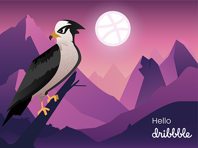 Hello Dribbble ! animal animation design eagle eagle illustration graphic design hello dribbble illustration minimal nature vector