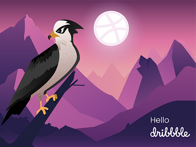 Hello Dribbble !