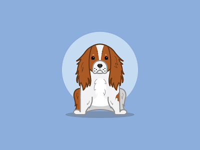 King Charles Cavalier animal blue brown canine dog illustration pet vector white
