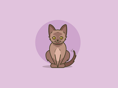 Burmese kitten animal brown cat feline illustration kitten pet purple vector