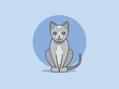 Russian Blue animal blue cat feline grey illustration pet vector