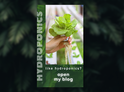 Hydroponics stories for @doma_ogorod in Instagram design illustration instagram instagram stories stories web web design webdesign