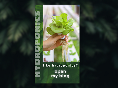 Hydroponics stories for @doma_ogorod in Instagram