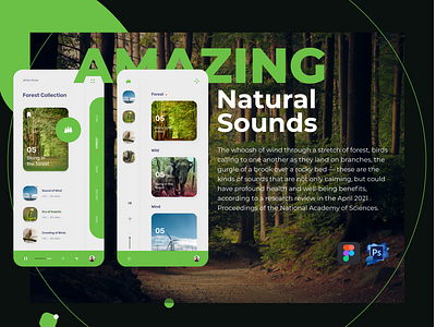 Natural Sounds App UI