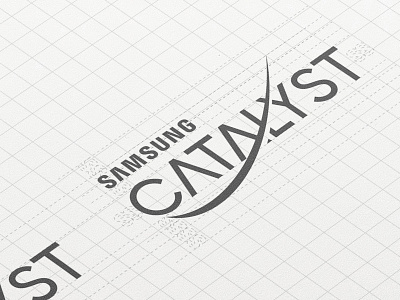 Samsung Catalyst Brand Study brand grid guidelines